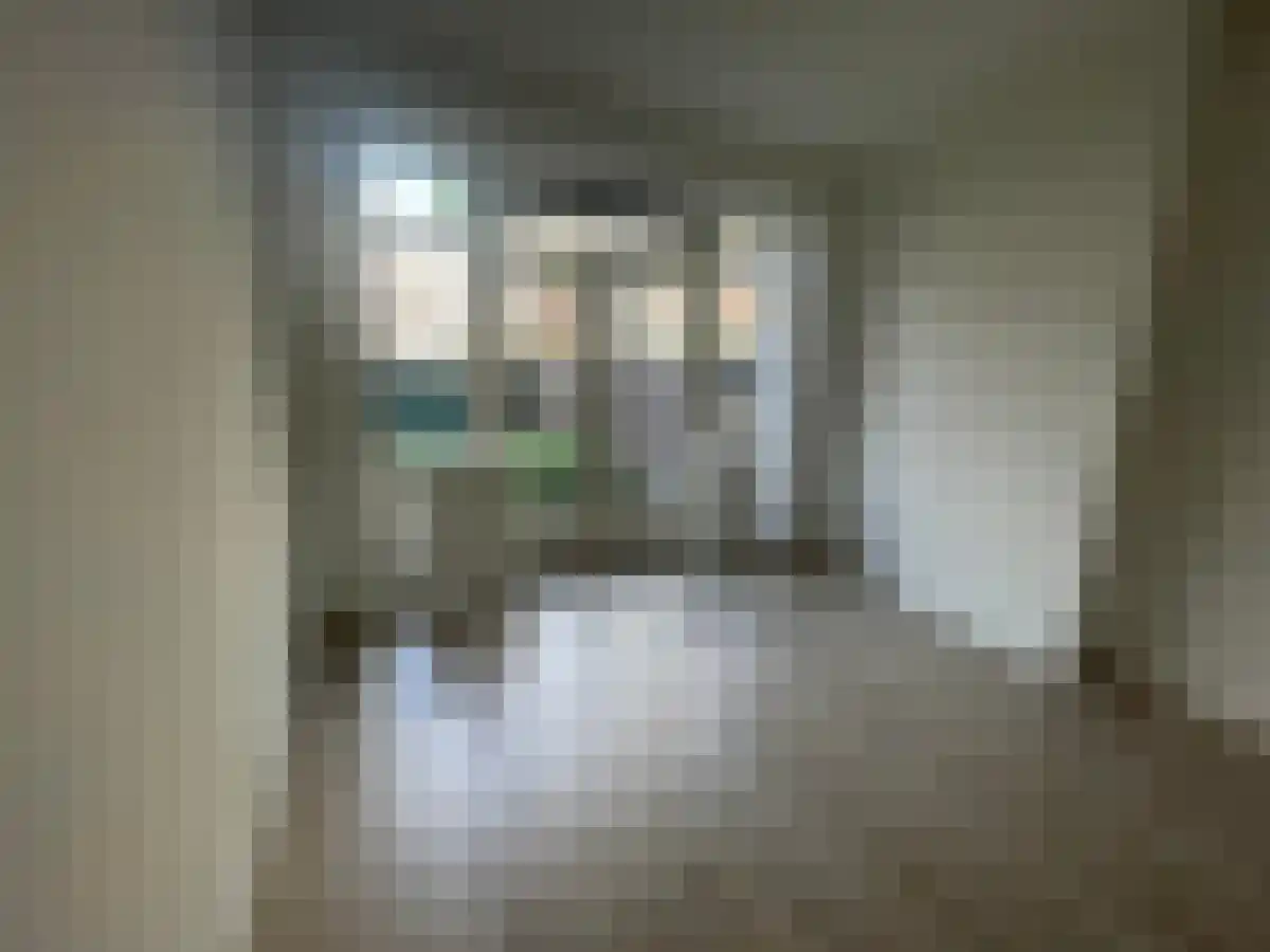 Mijnsherenlaan 61 Rotterdam thumbnail 5