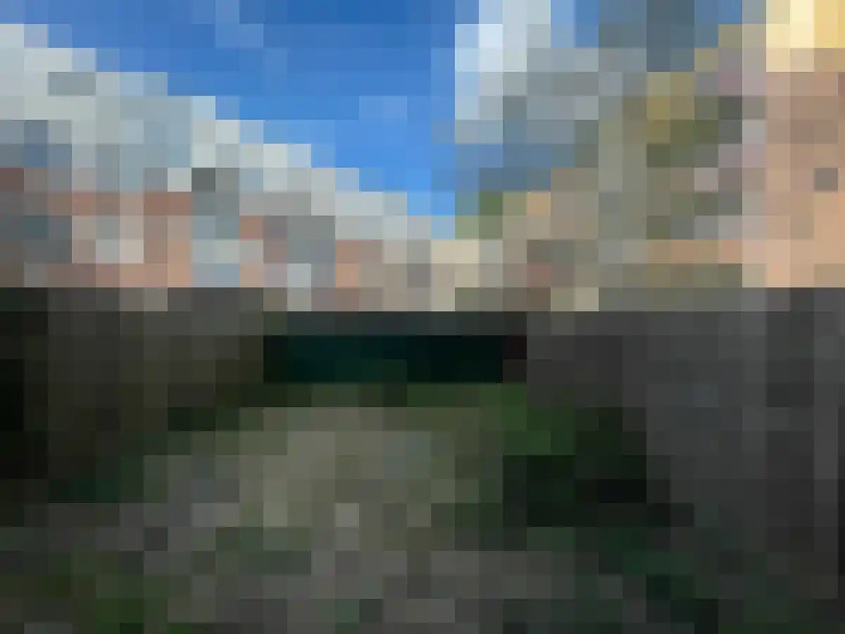 Mijnsherenlaan 61 Rotterdam thumbnail 6