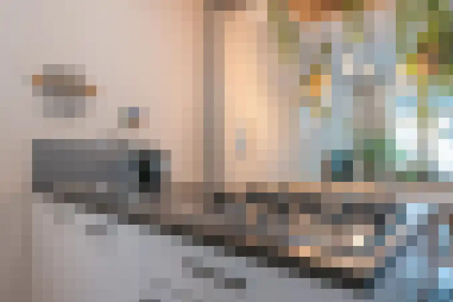Mijnsherenlaan 64 D Rotterdam thumbnail 16
