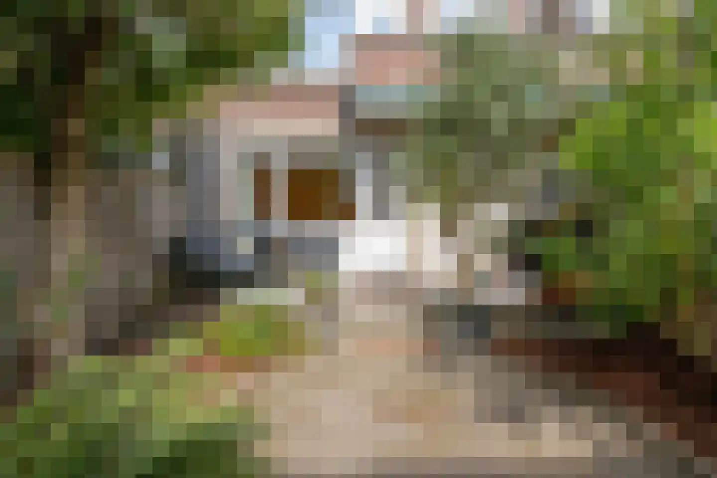 Mijnsherenlaan 64 D Rotterdam thumbnail 21