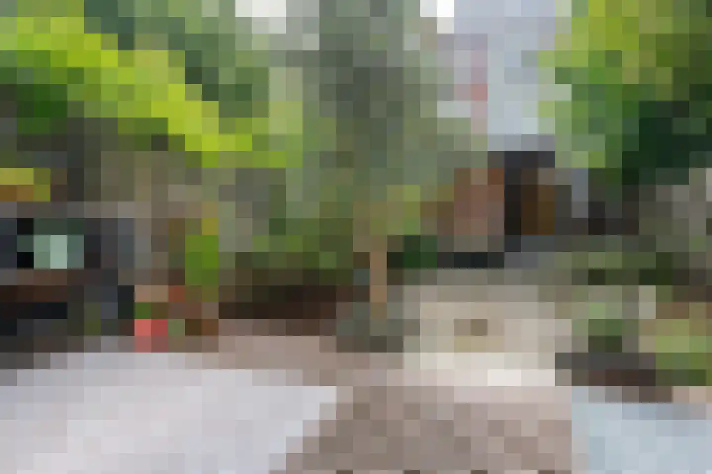 Mijnsherenlaan 64 D Rotterdam thumbnail 23