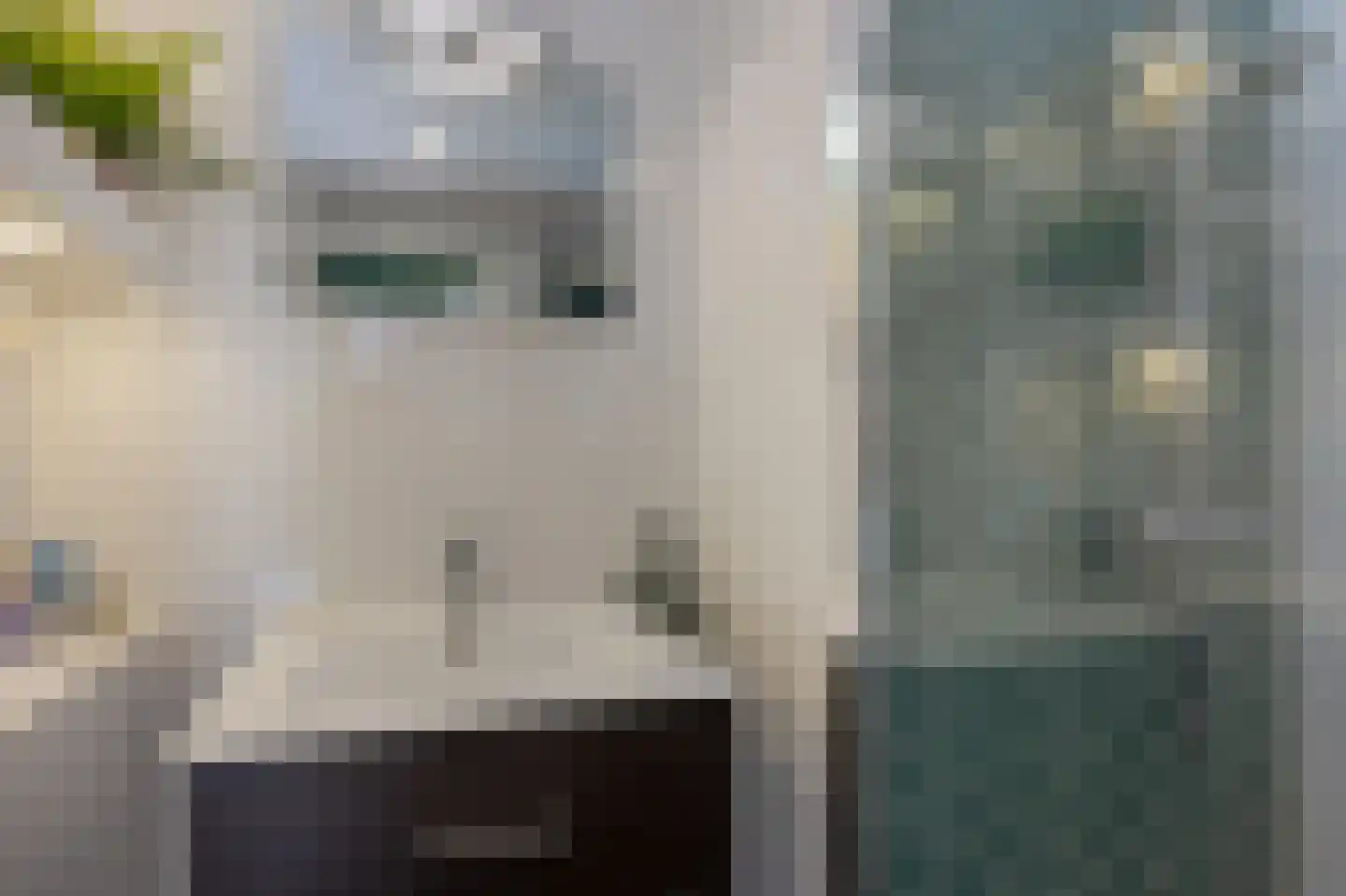 Mijnsherenlaan 64 D Rotterdam thumbnail 24