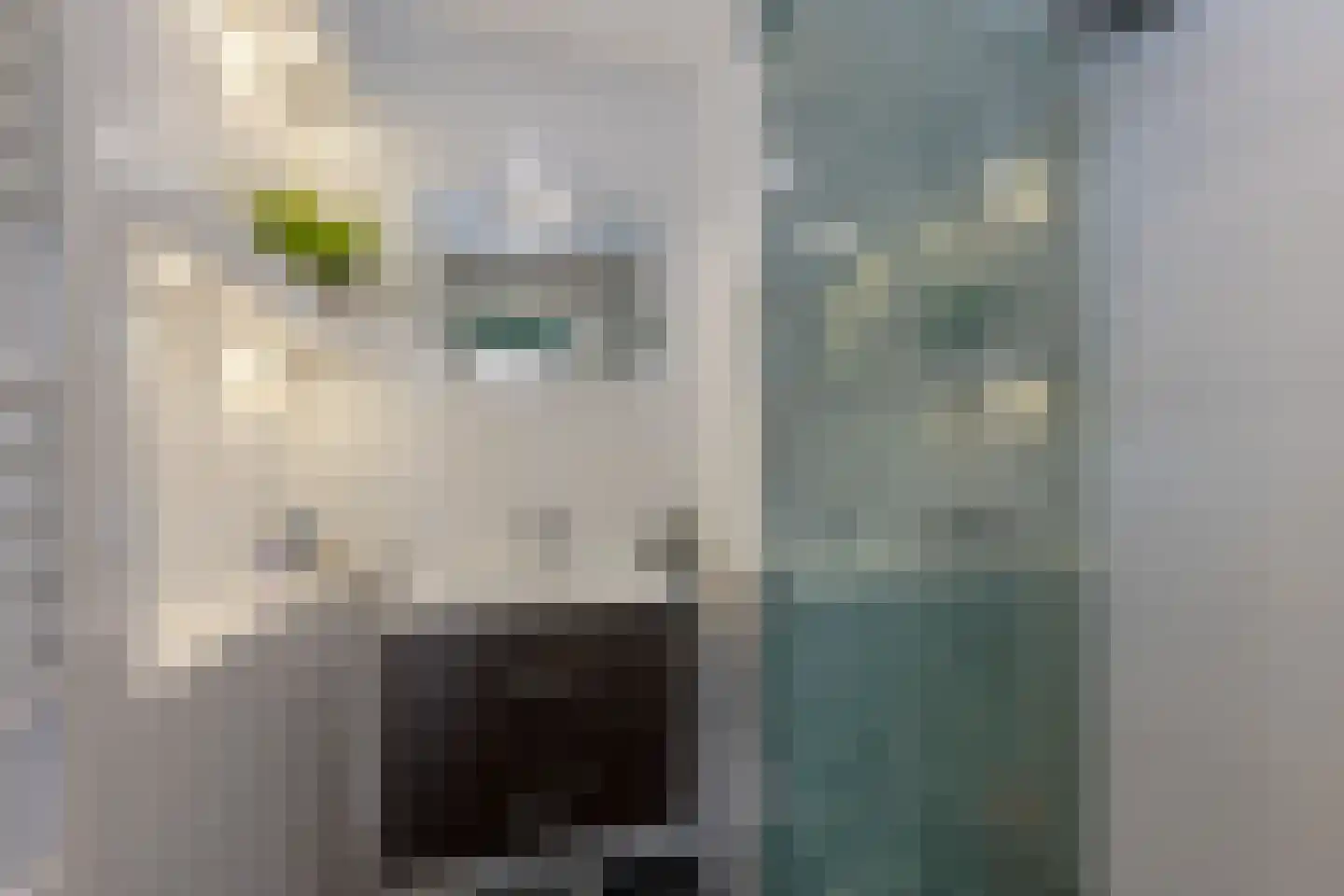 Mijnsherenlaan 64 D Rotterdam thumbnail 5