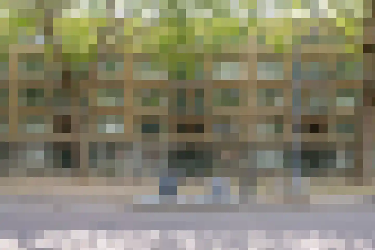 Mijnsherenlaan 64 D Rotterdam thumbnail 6