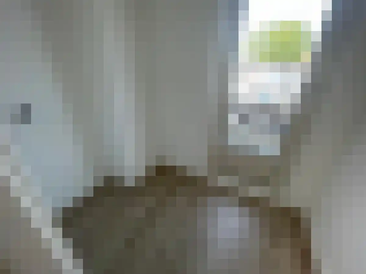 Mijnsherenlaan 65 Rotterdam thumbnail 4
