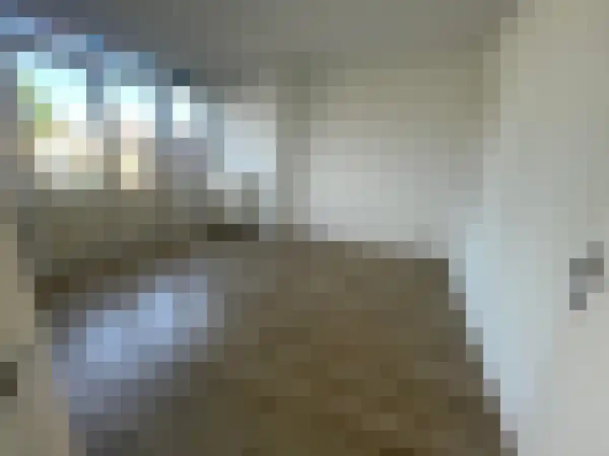 Mijnsherenlaan 65 Rotterdam thumbnail 5