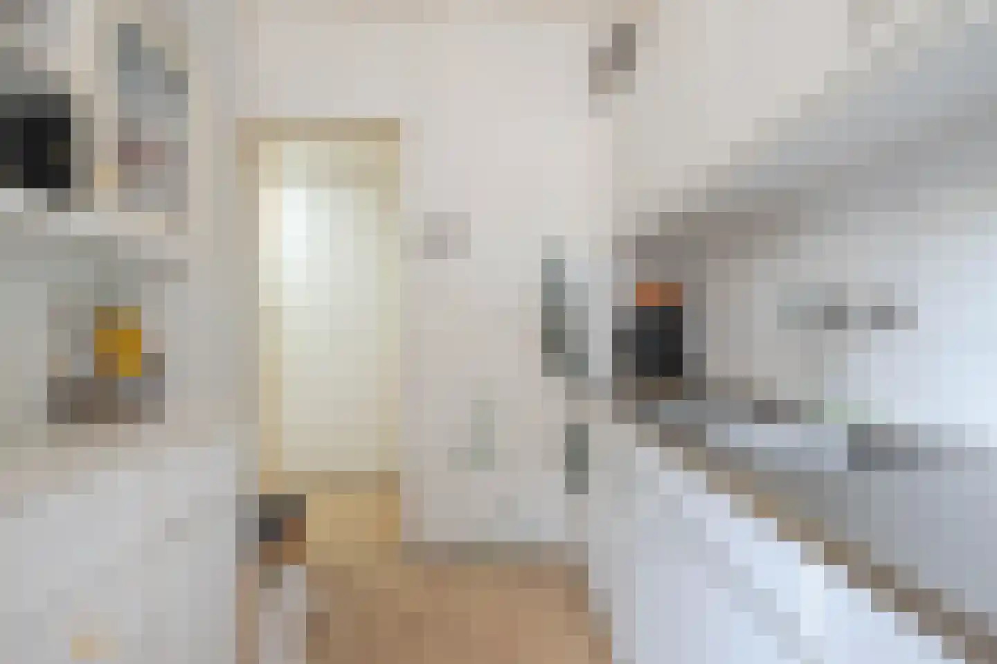 Mijnsherenlaan 71 D Rotterdam thumbnail 13