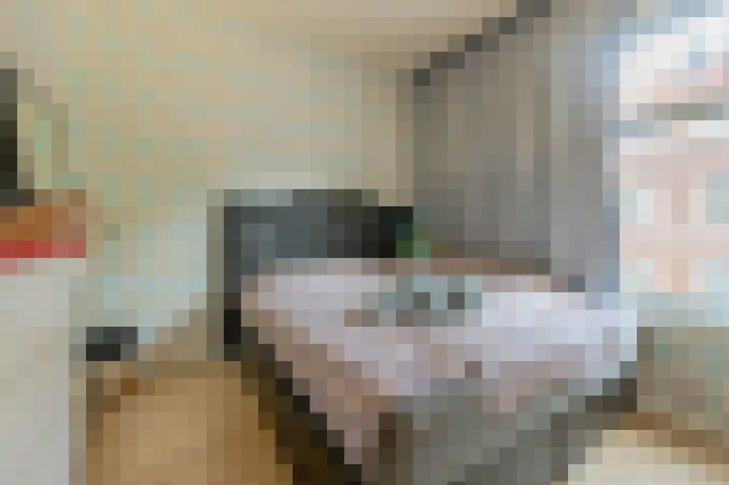 Mijnsherenlaan 71 D Rotterdam thumbnail 4