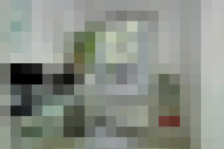 Mijnsherenlaan 79 A Rotterdam thumbnail 19
