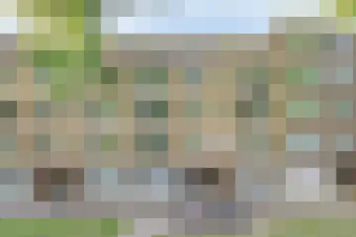 Mijnsherenlaan 79 A Rotterdam thumbnail 21