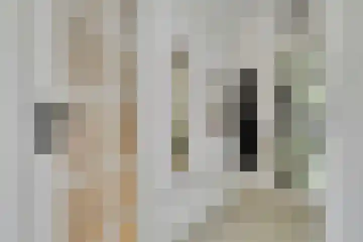 Mijnsherenlaan 79 A Rotterdam thumbnail 4