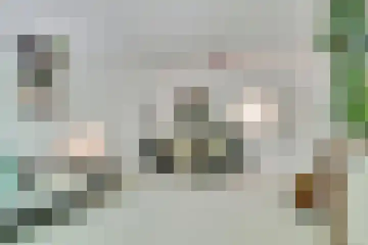 Mijnsherenlaan 79 A Rotterdam thumbnail 7