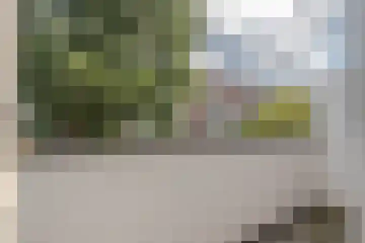Mijnsherenlaan 82 B Rotterdam thumbnail 12