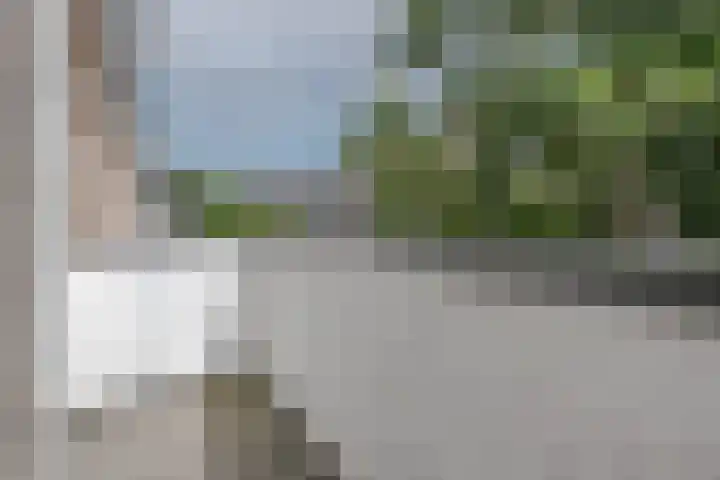 Mijnsherenlaan 82 B Rotterdam thumbnail 14
