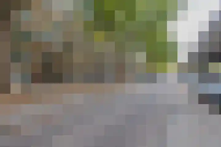 Mijnsherenlaan 82 B Rotterdam thumbnail 6