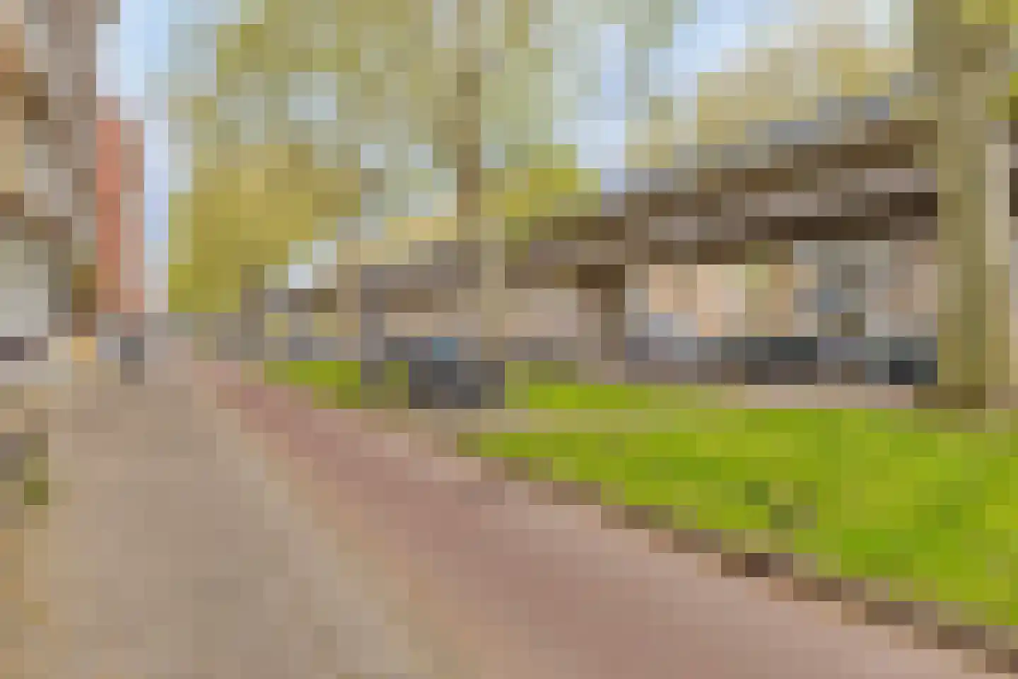 Mijnsherenlaan 83 B Rotterdam thumbnail 22