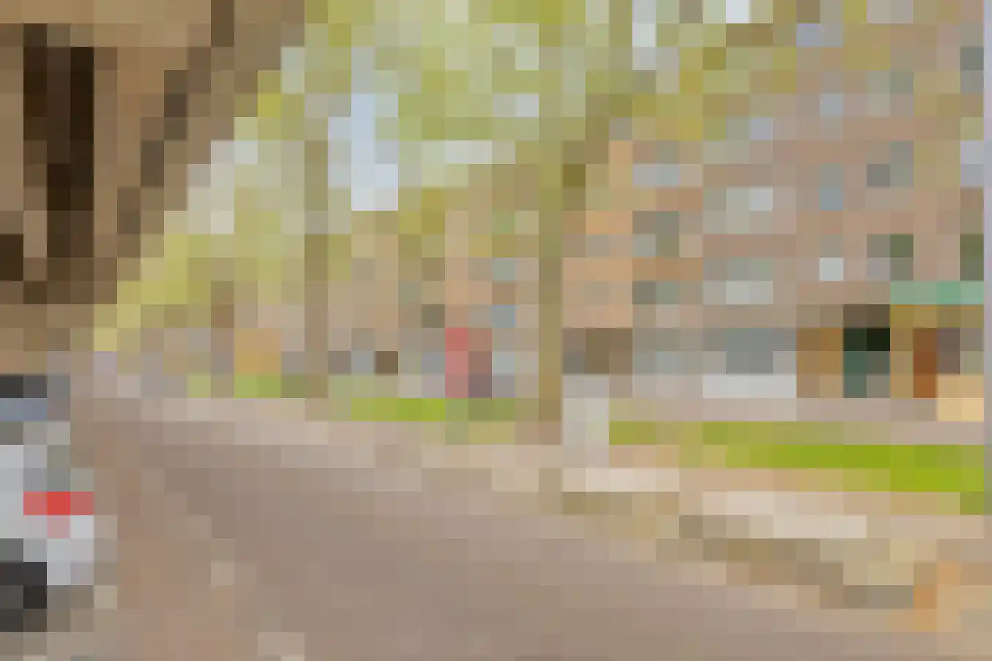 Mijnsherenlaan 83 B Rotterdam thumbnail 23