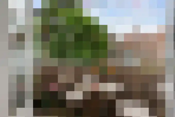 Mijnsherenlaan 86 A Rotterdam thumbnail 11