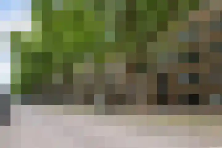 Mijnsherenlaan 86 A Rotterdam thumbnail 15