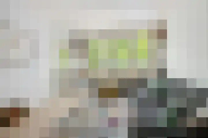 Mijnsherenlaan 86 A Rotterdam thumbnail 4