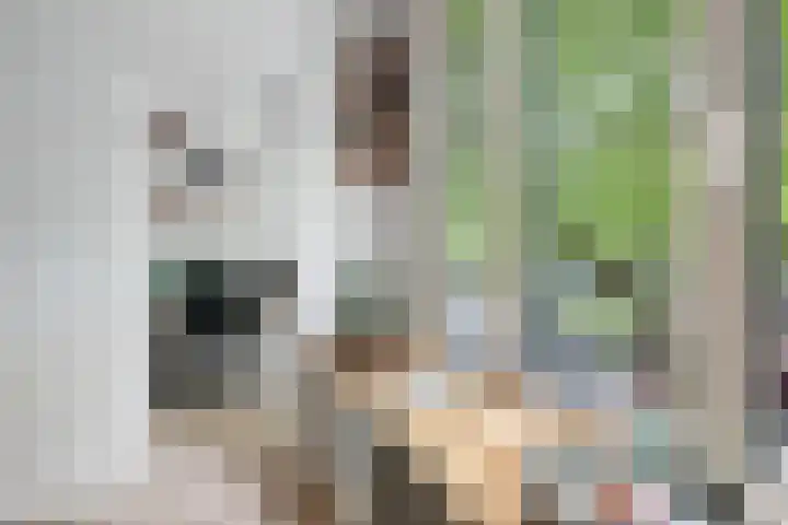 Mijnsherenlaan 86 A Rotterdam thumbnail 5