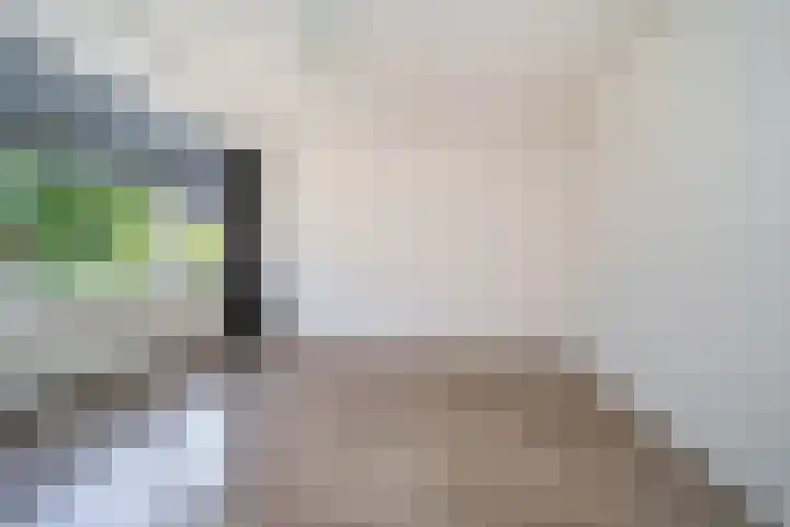 Mijnsherenlaan 88 B Rotterdam thumbnail 14