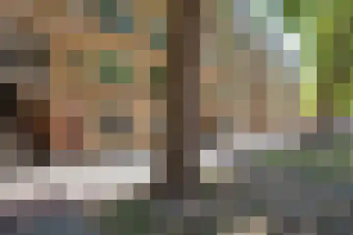 Mijnsherenlaan 88 B Rotterdam thumbnail 22