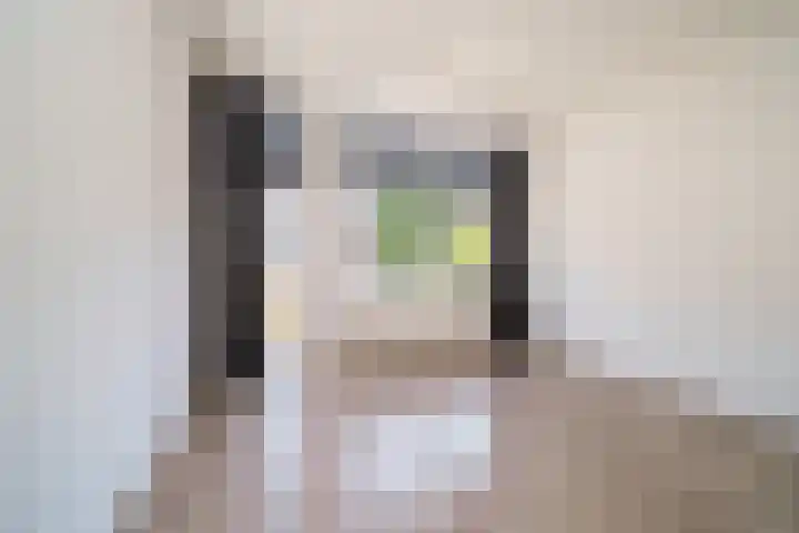 Mijnsherenlaan 88 B Rotterdam thumbnail 5