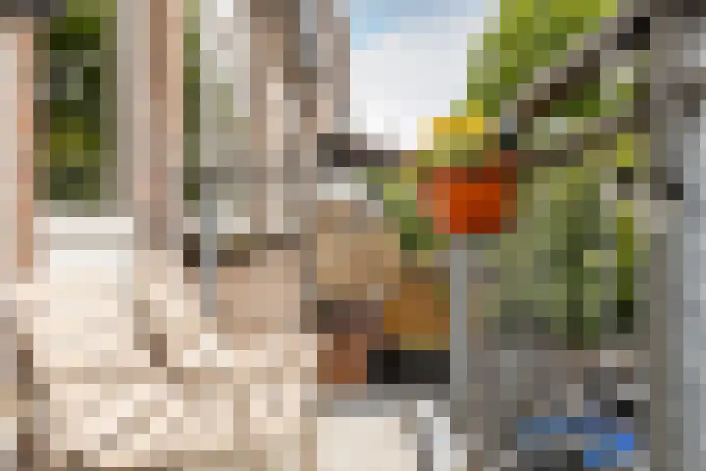 Mijnsherenlaan 90 A Rotterdam thumbnail 4