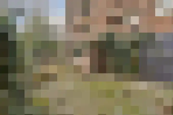 Mijnsherenplein 47 A 01 Rotterdam thumbnail 5