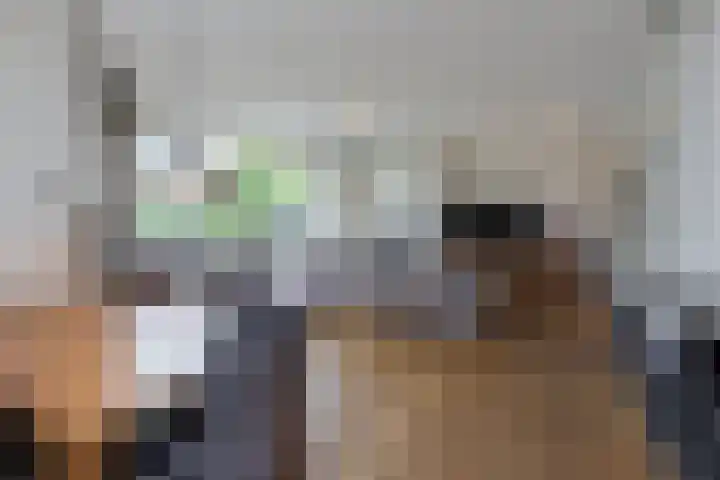 Mijnsherenweg 66 Kudelstaart thumbnail 10