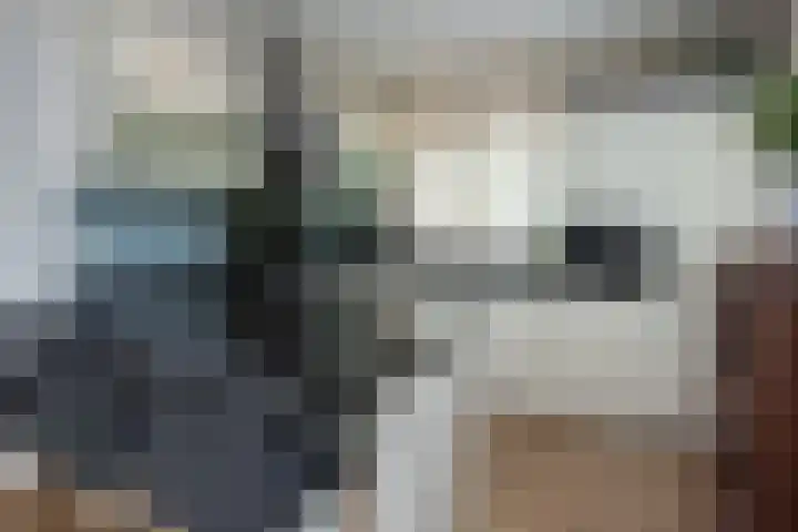 Mijnsherenweg 66 Kudelstaart thumbnail 12