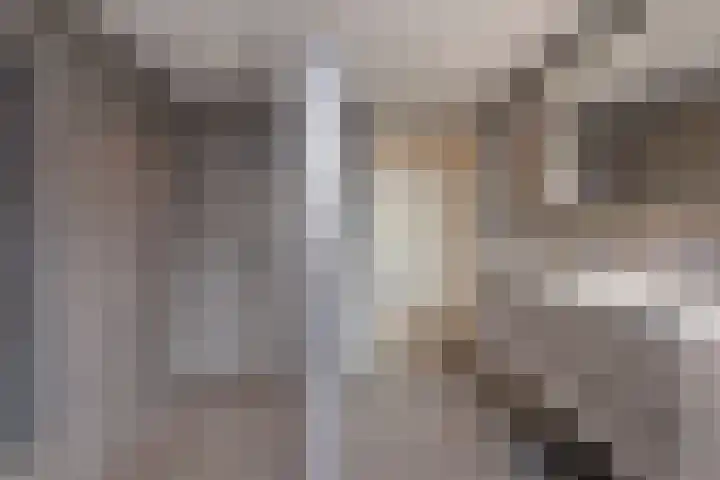 Mijnsherenweg 66 Kudelstaart thumbnail 16