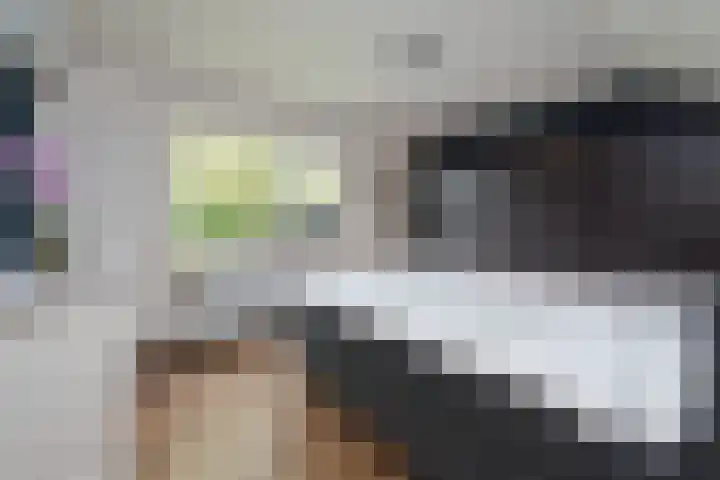 Mijnsherenweg 66 Kudelstaart thumbnail 17