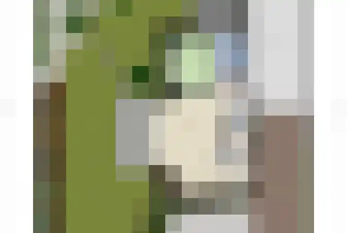 Mijnsherenweg 66 Kudelstaart thumbnail 27