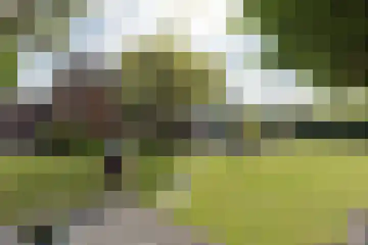 Mijnsherenweg 66 Kudelstaart thumbnail 4