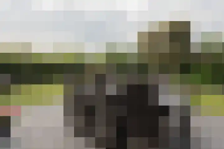 Mijnsherenweg 66 Kudelstaart thumbnail 7