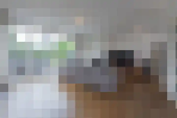 Mijnsherenweg 66 Kudelstaart thumbnail 8