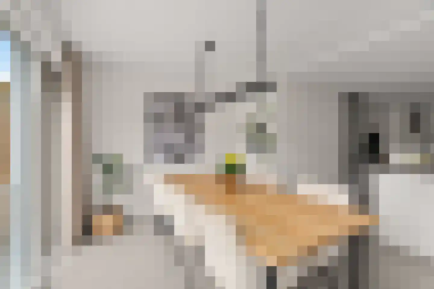 Mijnspoor 43 Houten thumbnail 14