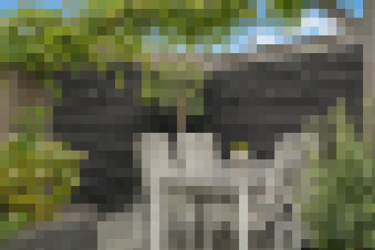 Mijnspoor 43 Houten thumbnail 23