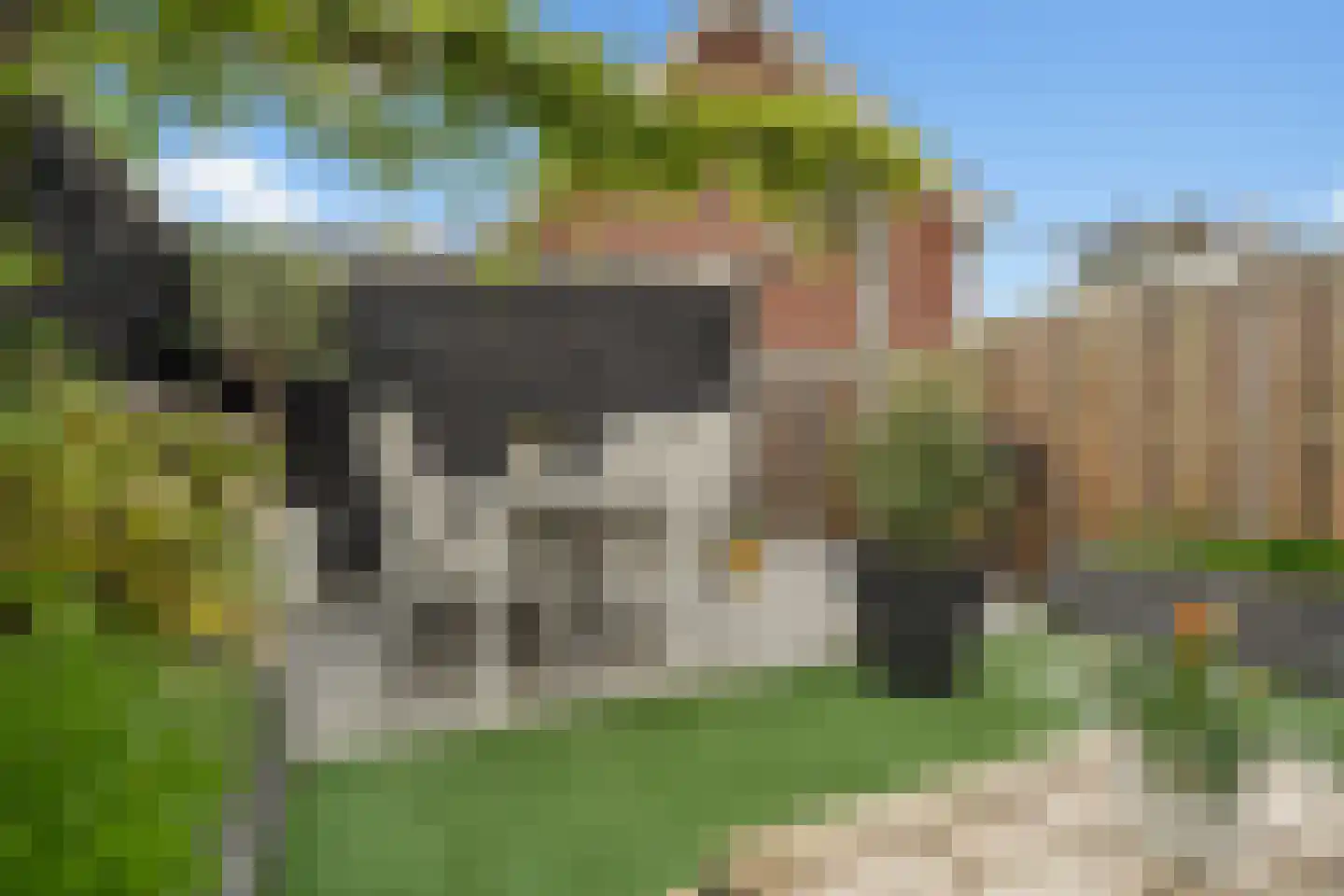 Mijnspoor 43 Houten thumbnail 24