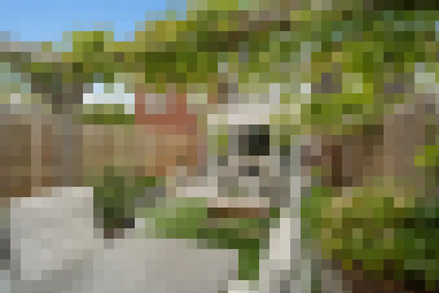 Mijnspoor 43 Houten thumbnail 25