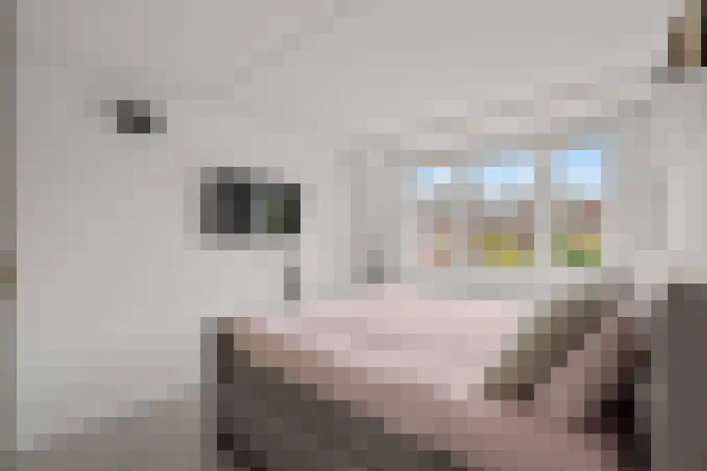 Mijnspoor 43 Houten thumbnail 29