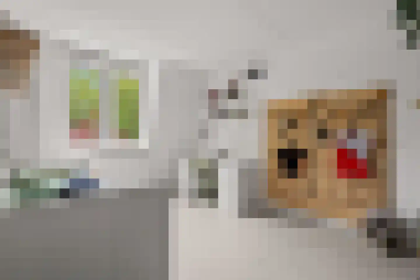 Mijnspoor 43 Houten thumbnail 35
