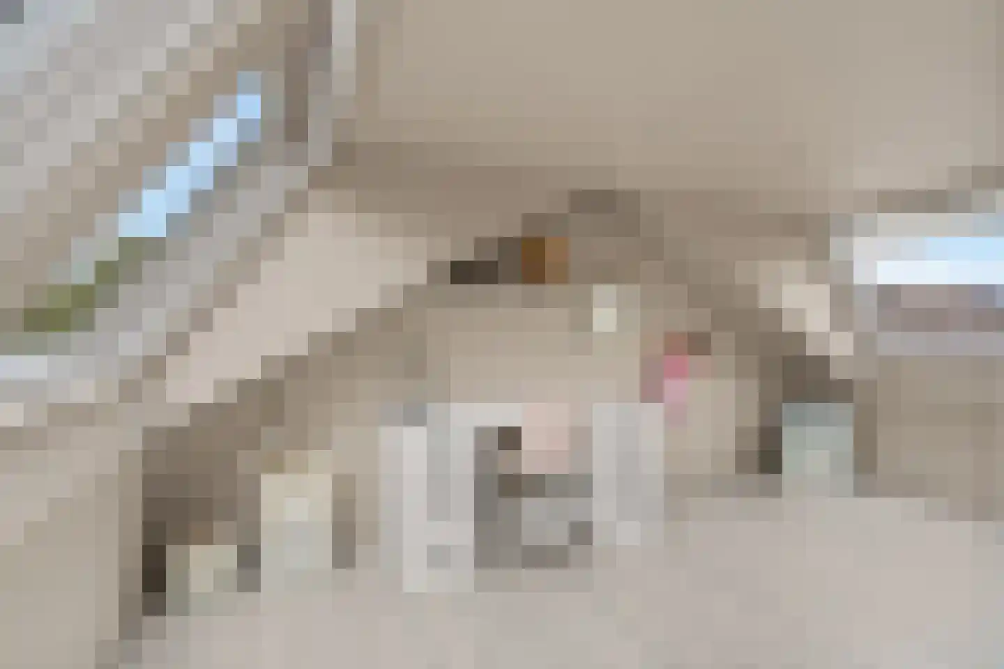 Mijnspoor 43 Houten thumbnail 44