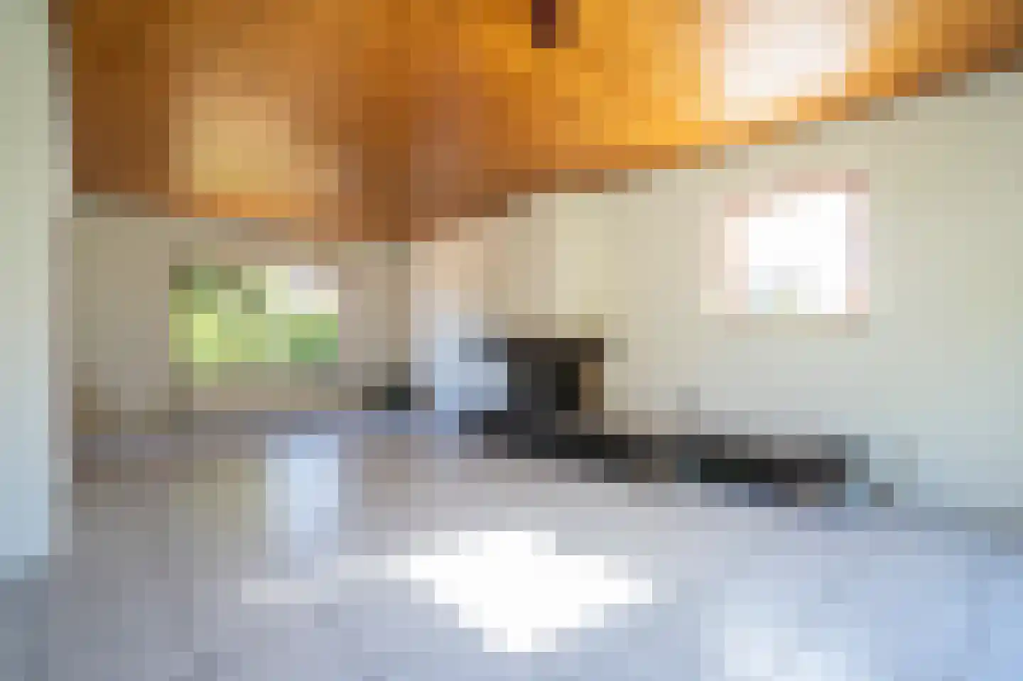 Mijntjeserf 3 Hoogblokland thumbnail 12