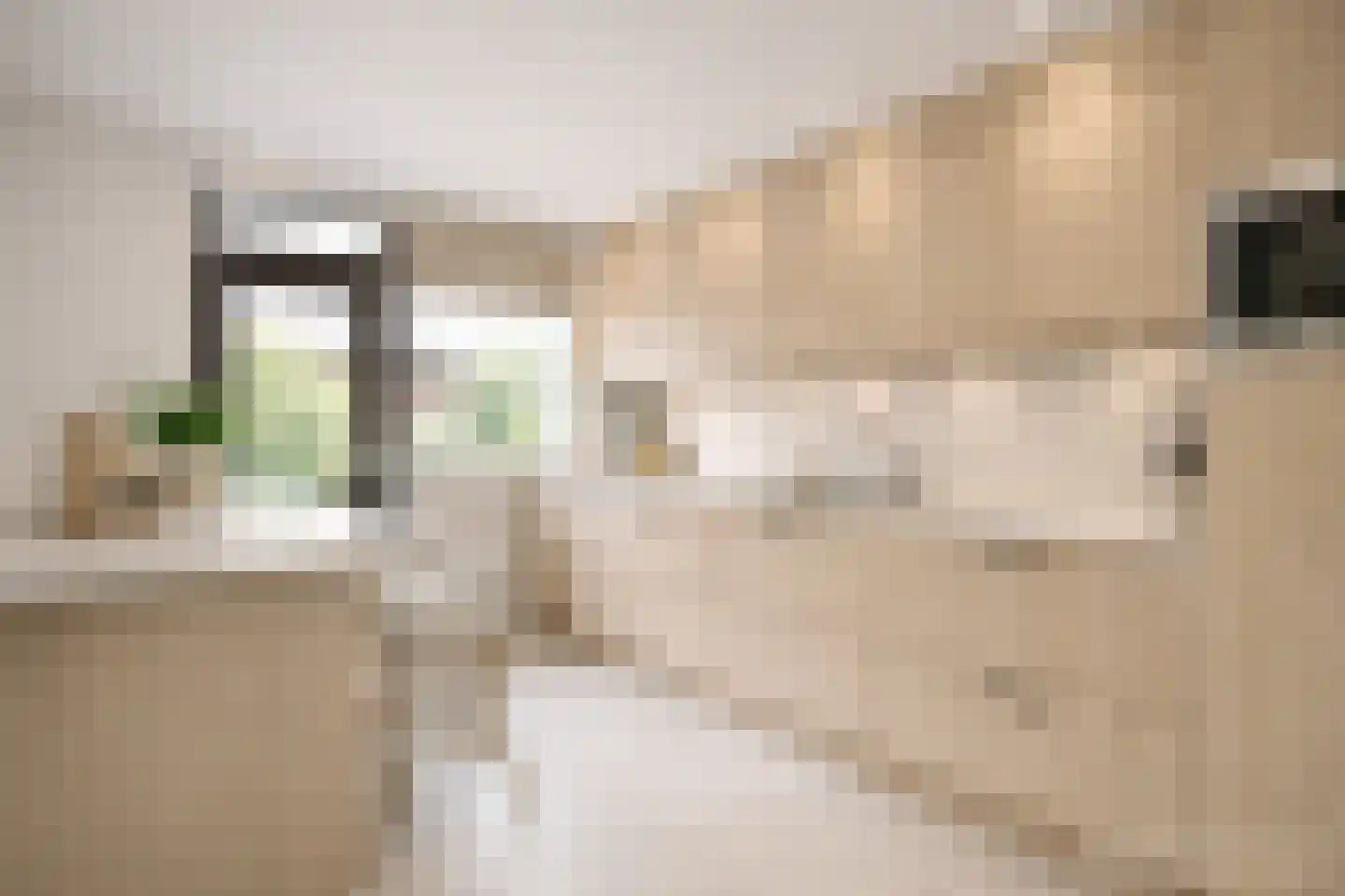 Mijntjeserf 3 Hoogblokland thumbnail 14