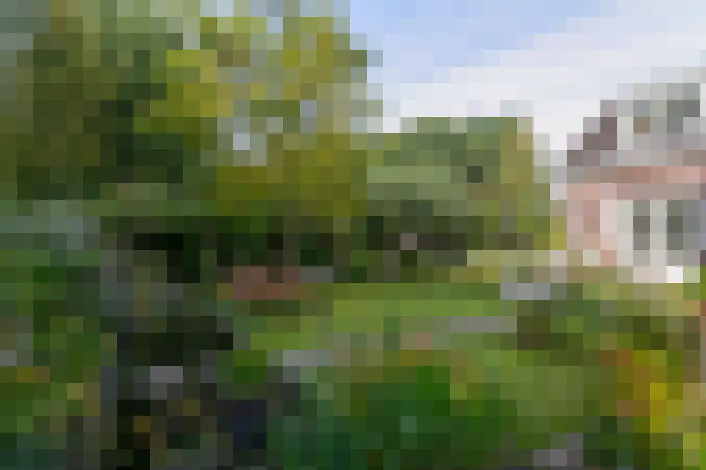 Mijzijde 84 Kamerik thumbnail 23