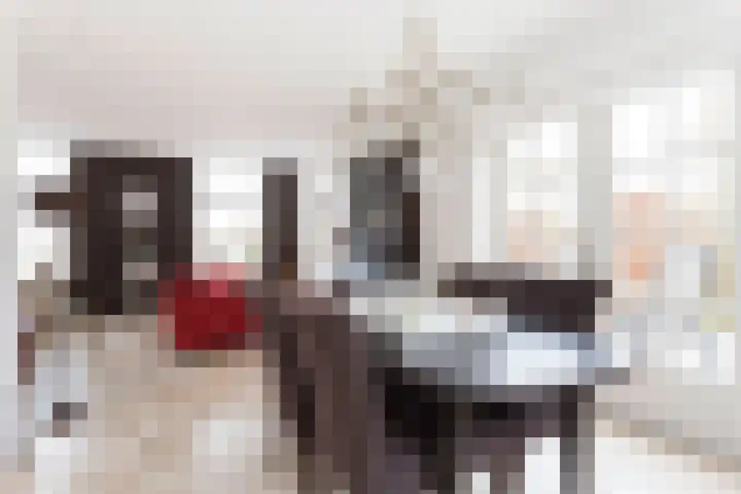 Mijzijde 84 Kamerik foto 3