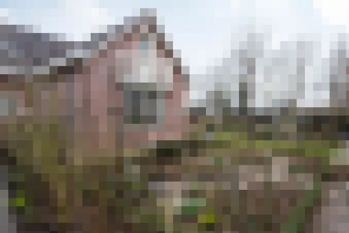 Mijzijde 84 Kamerik thumbnail 32
